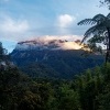 Borneo - Mt Kinabalu o0719